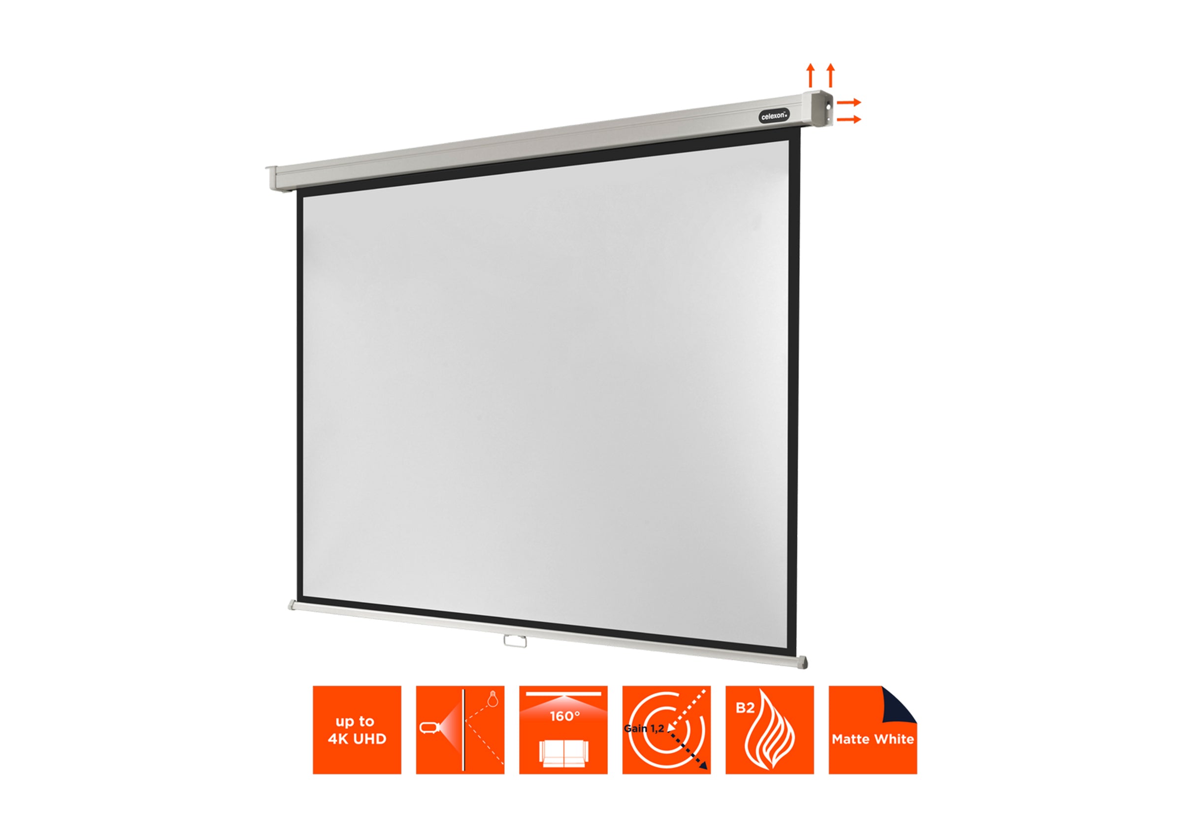 celexon-pro-cran-projection-manuel-214x120cm-16-9-gain-1-2 image 7