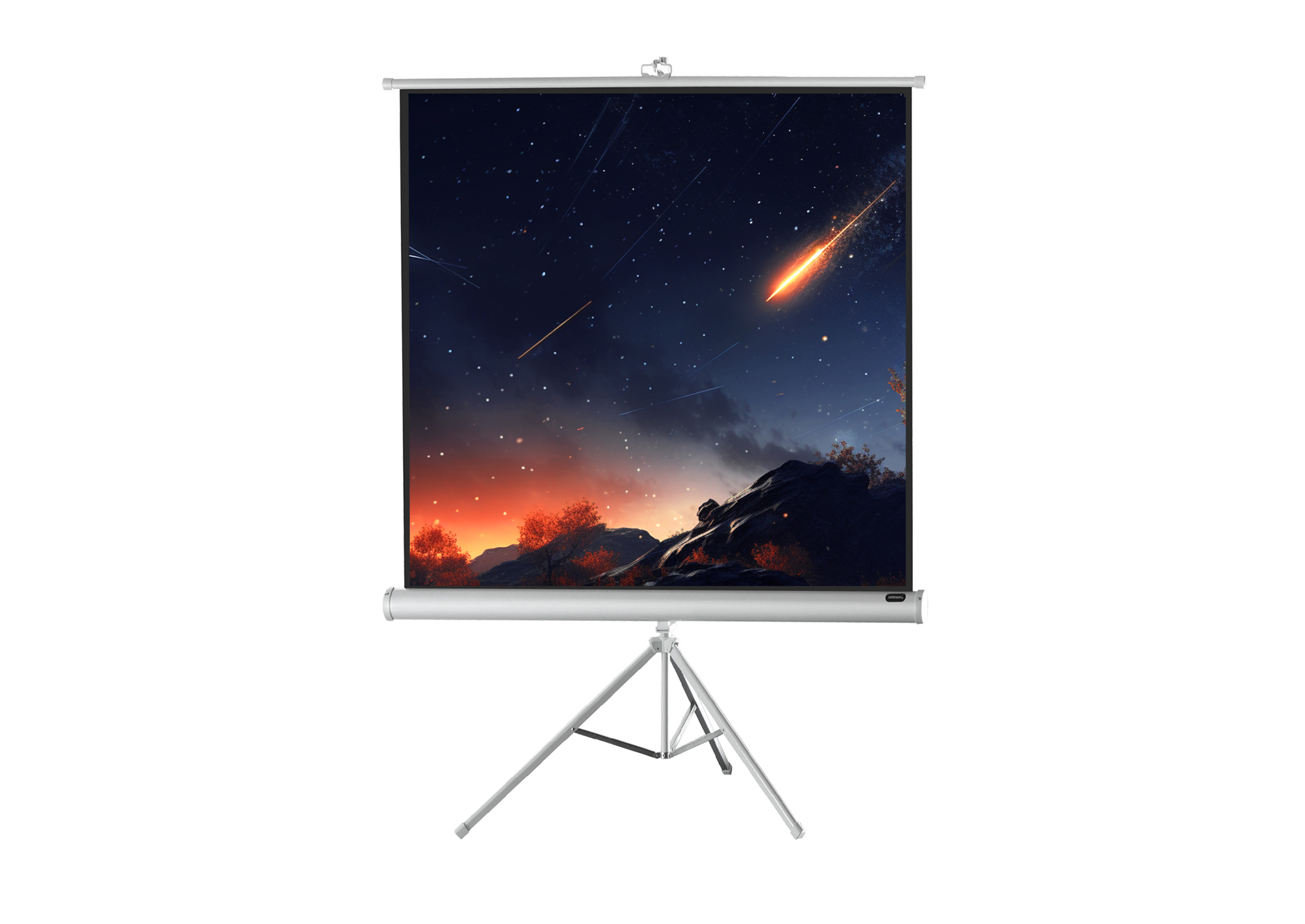 celexon-economy-cran-sur-pied-white-edition-158x89cm-16-9 image 5