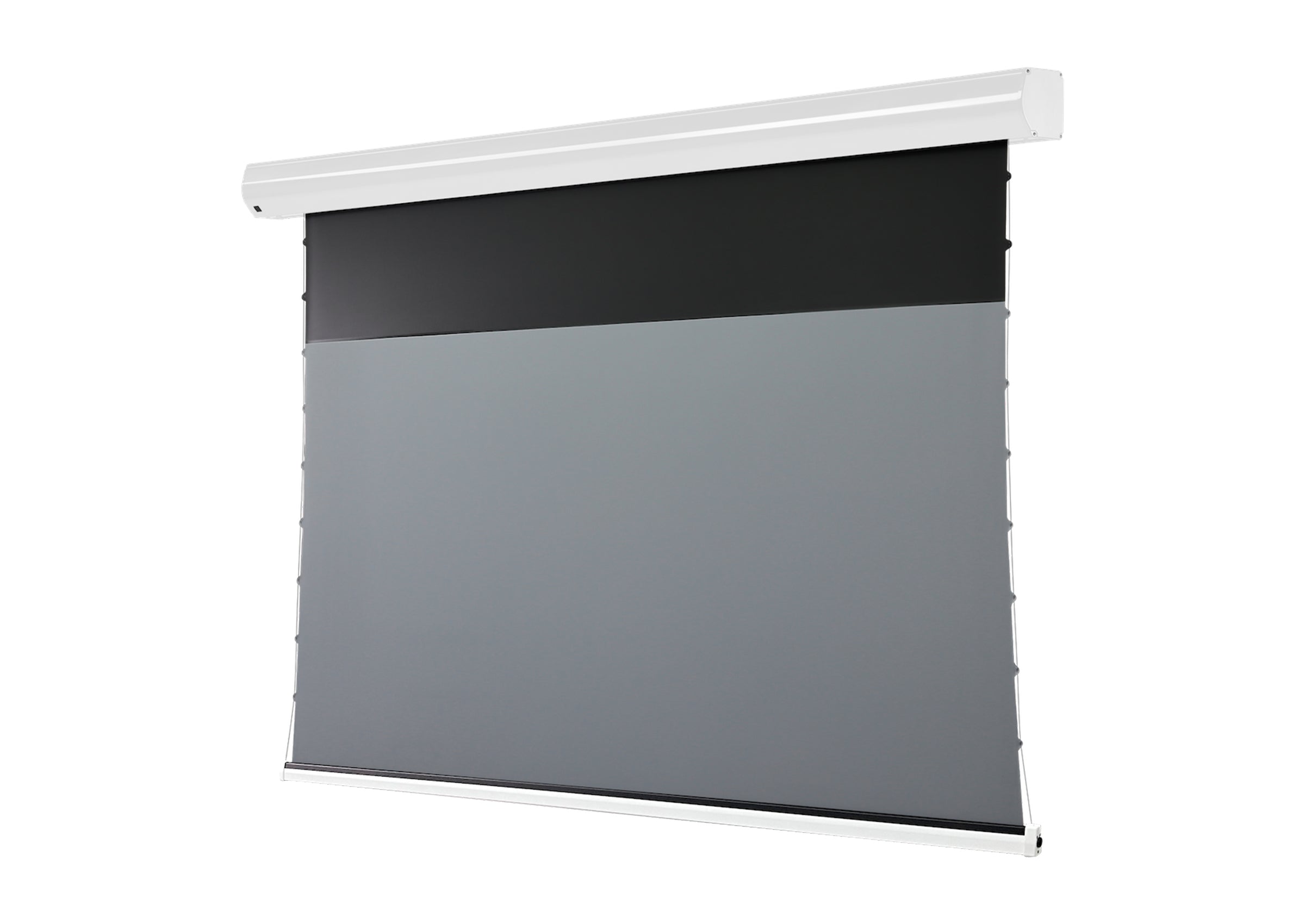 celexon-homecinema-plus-cran-projection-motoris-clr-ust-100-16-9 image 7