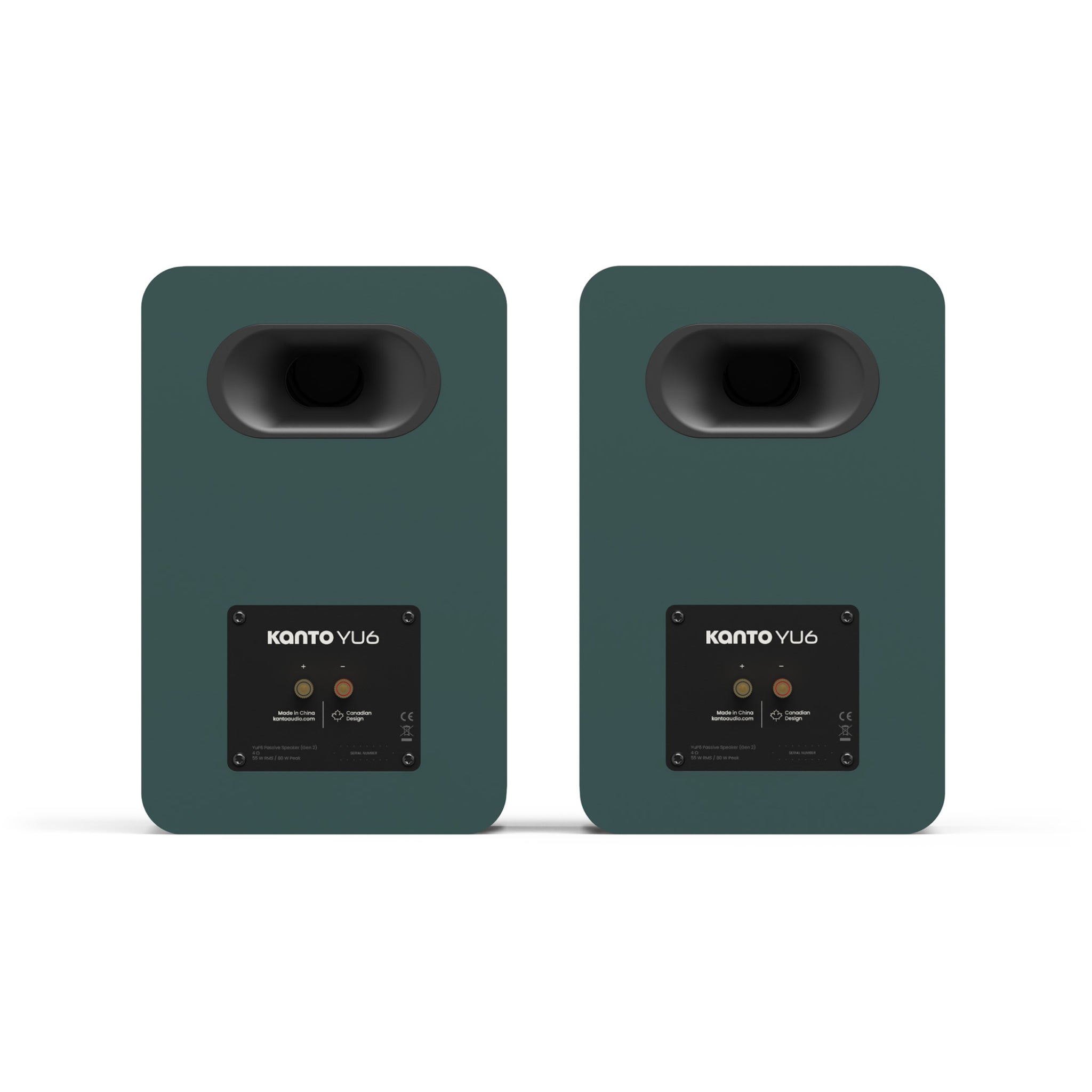 kanto-yu6-passive-enceinte-biblioth-que-verte-tweeter-soie image 4