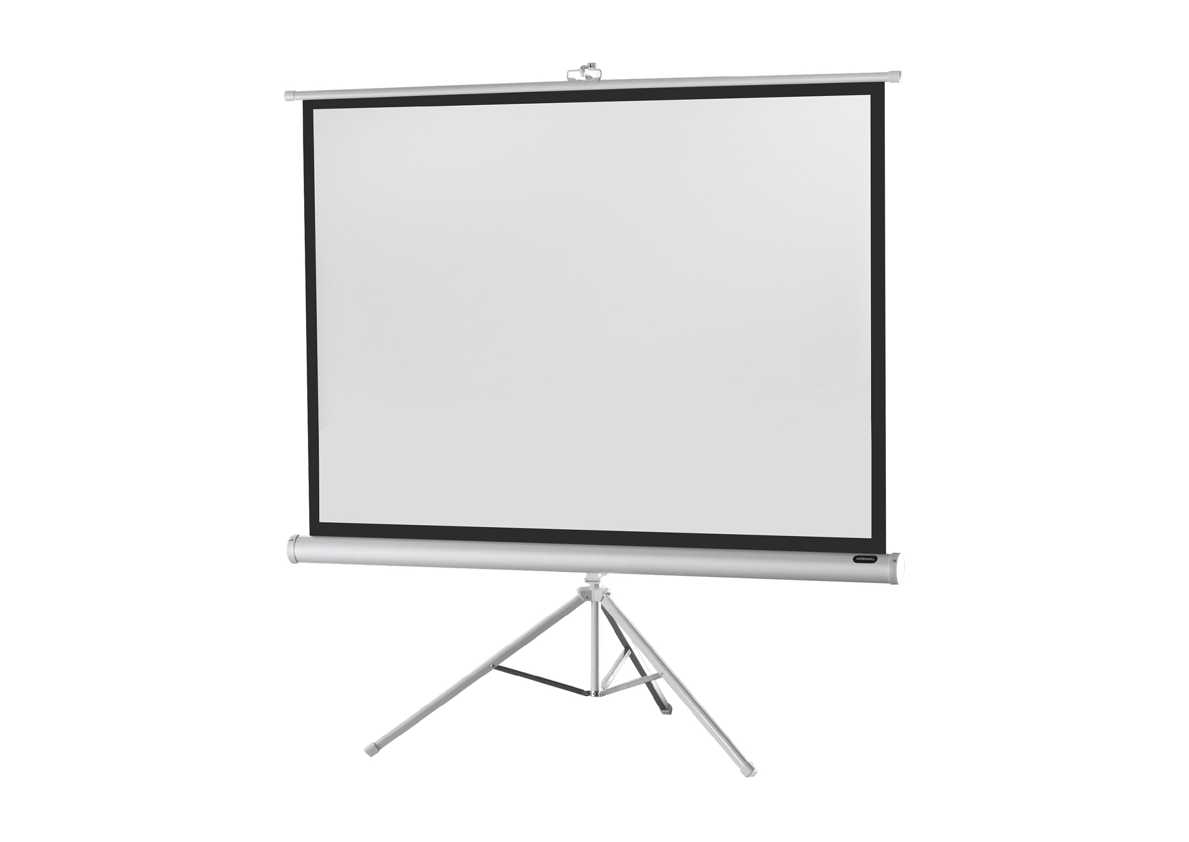 celexon-economy-cran-sur-pied-white-edition-158x89cm-16-9 image 3