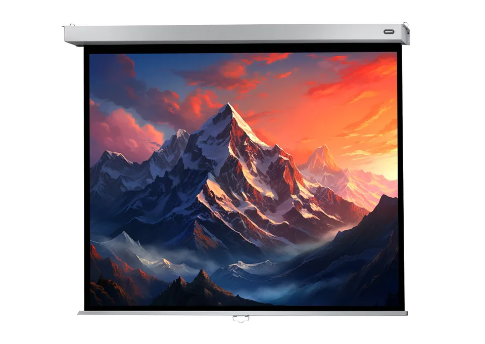 celexon-pro-plus-cran-de-projection-manuel-300x187-cm-16-10 image 1