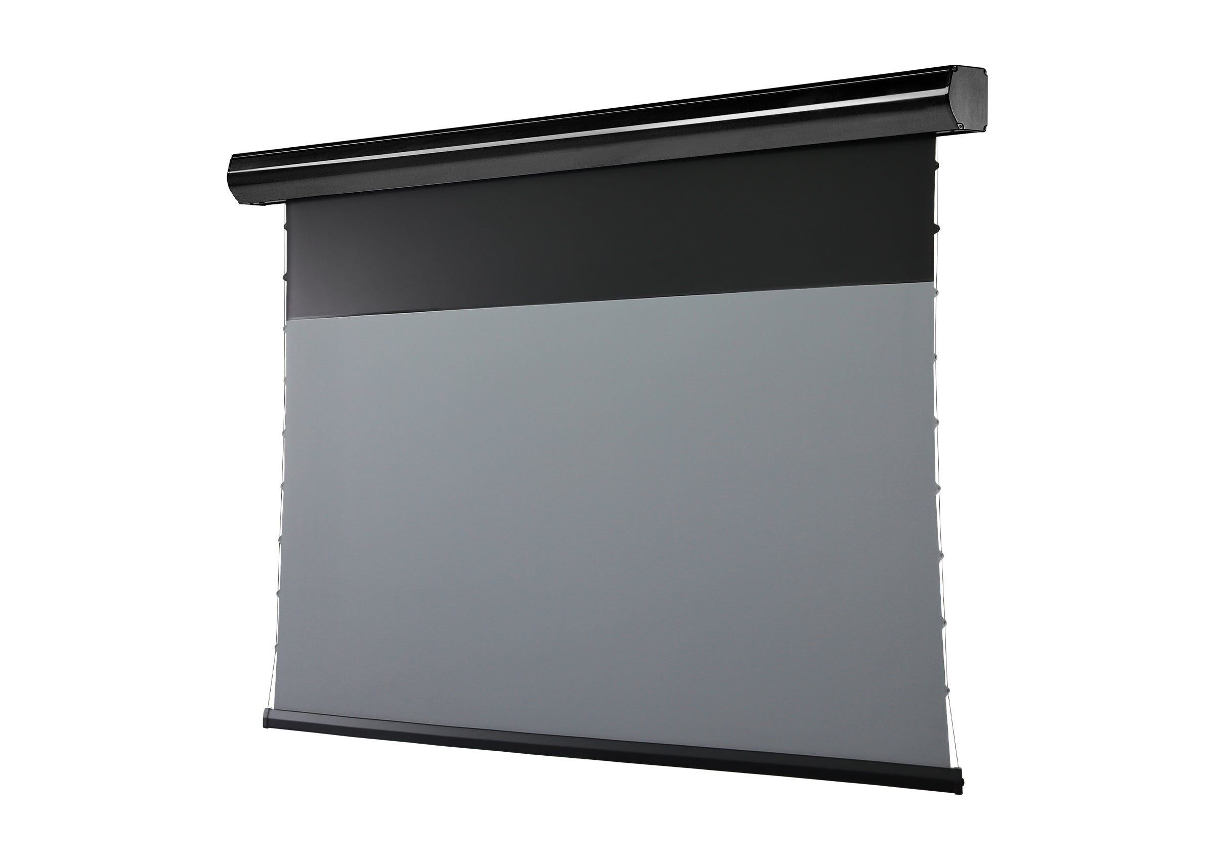 celexon-homecinema-plus-cran-projection-motoris-clr-ust-100-16-9 image 3