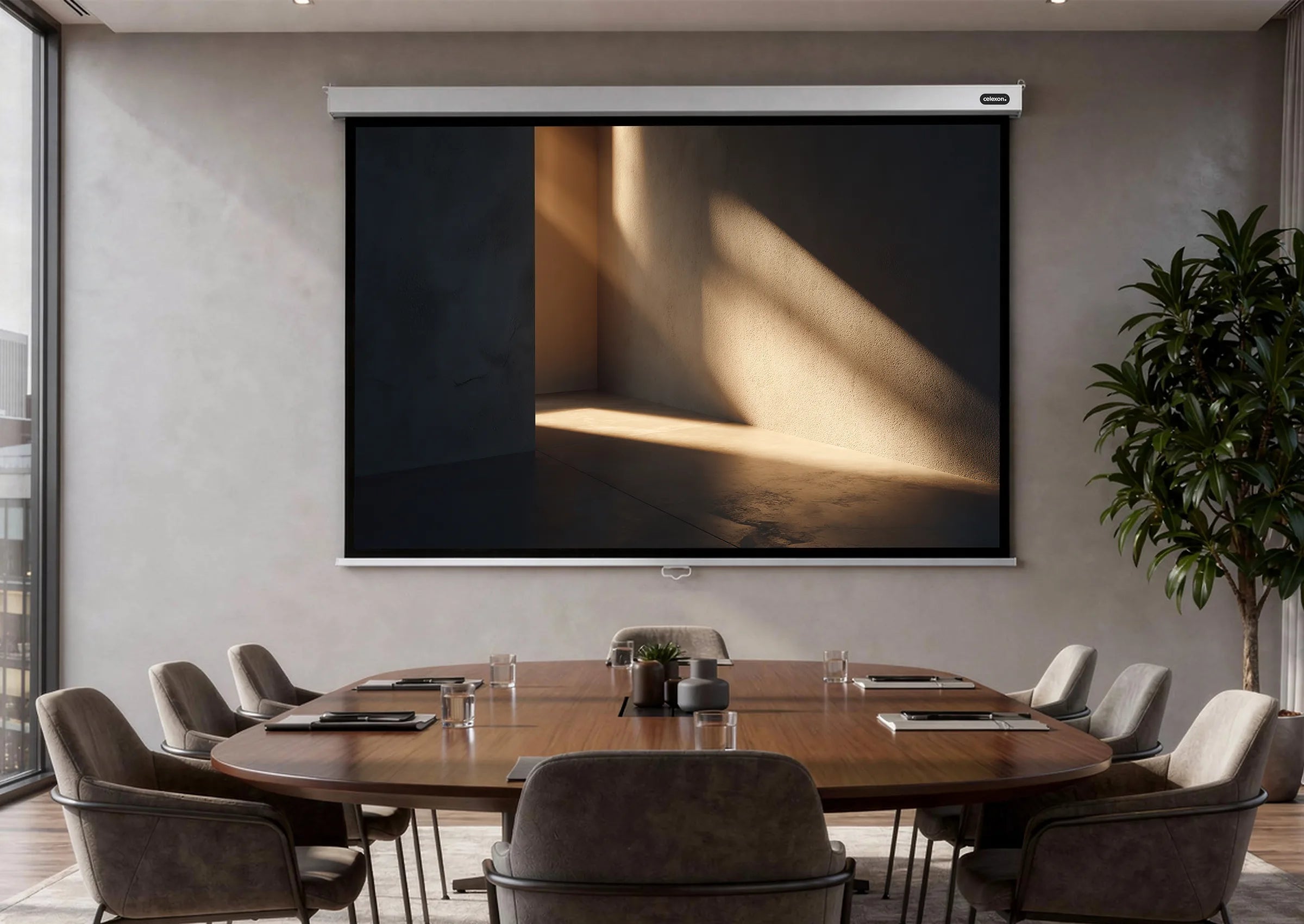 celexon-pro-plus-cran-de-projection-manuel-300x187-cm-16-10 image 2