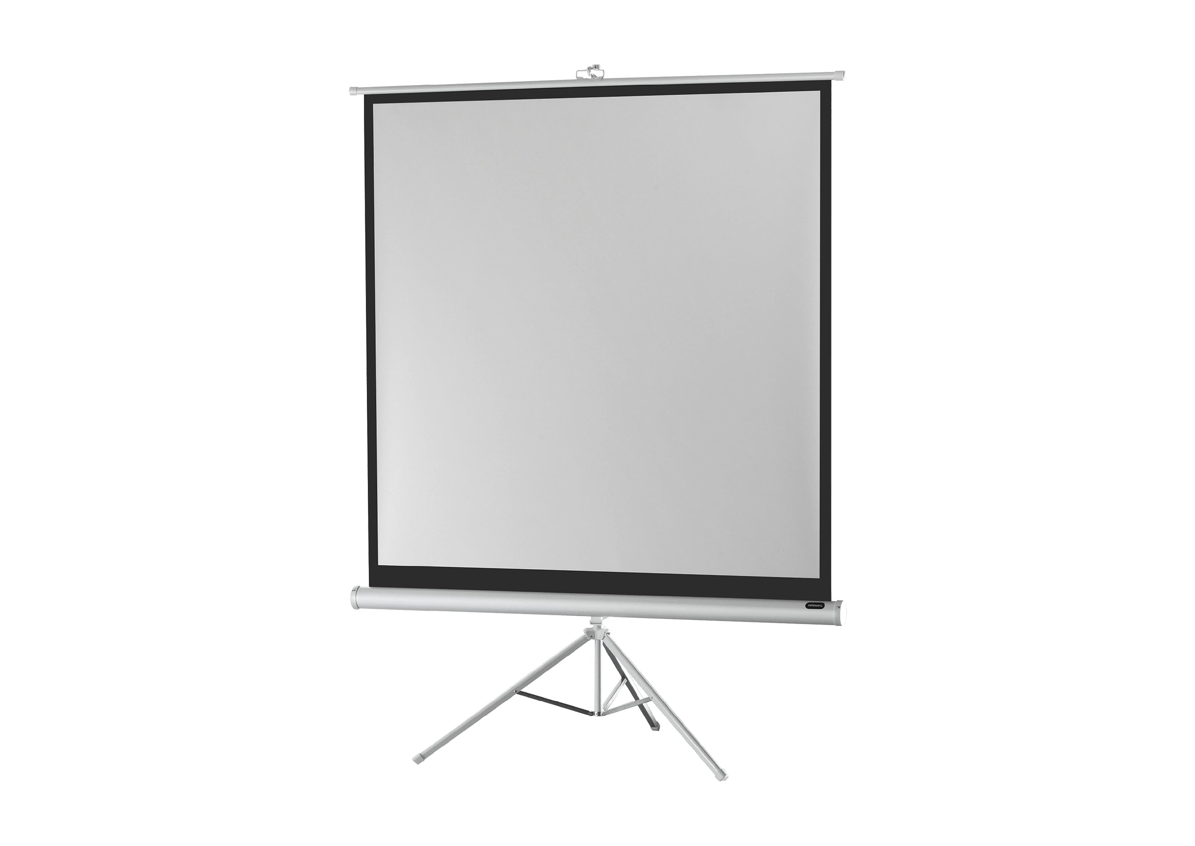 celexon-economy-cran-sur-pied-white-edition-158x89cm-16-9 image 7