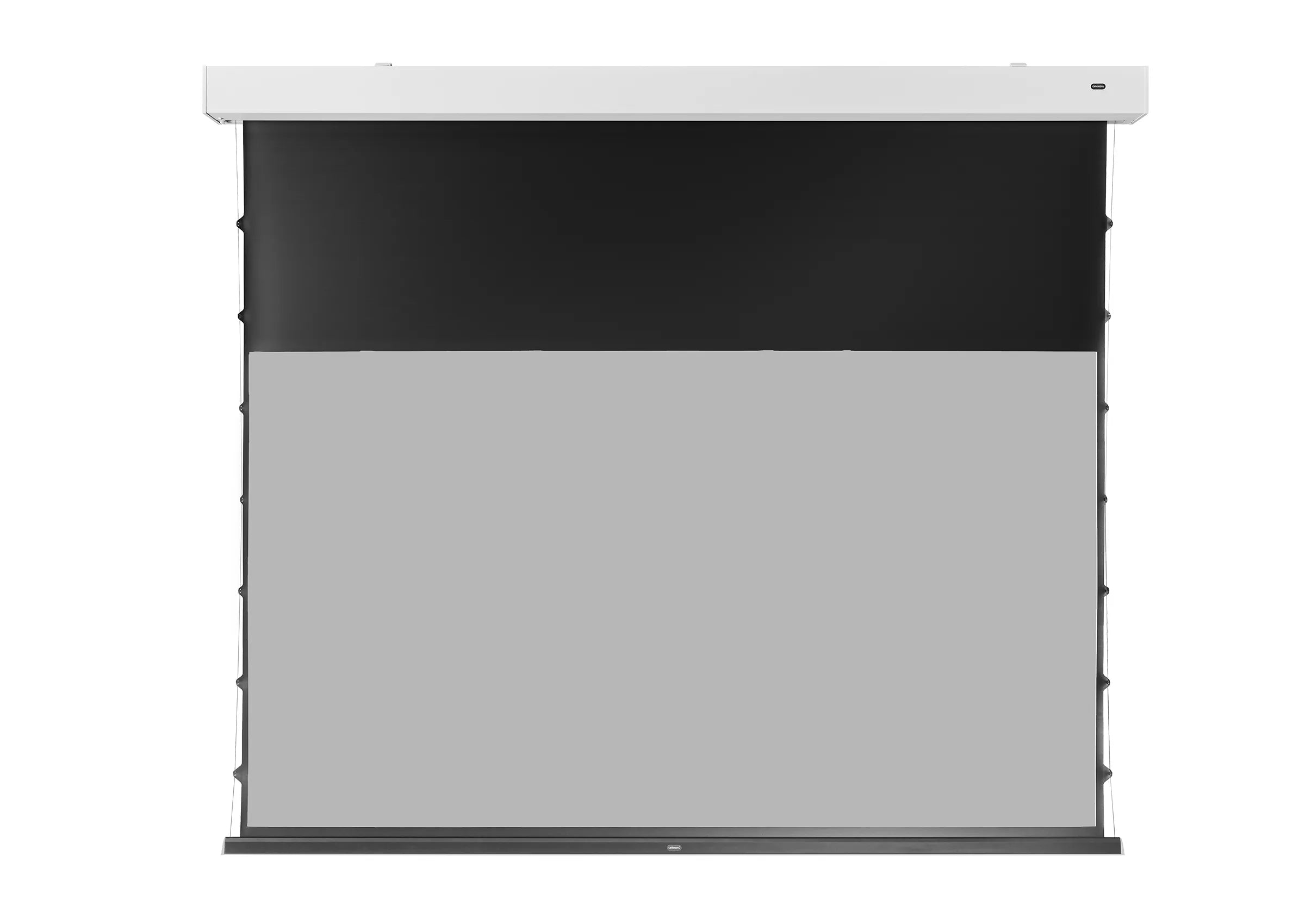 celexon-greyvision-premium-plus-cran-motoris-120-16-9 image 3